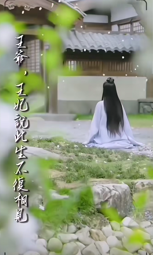 王爷，王妃说此生不复相见（87集）
