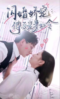 闪婚娇宠傅总宠妻如令 长篇